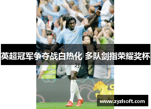 英超冠军争夺战白热化 多队剑指荣耀奖杯