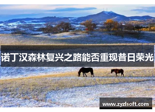 诺丁汉森林复兴之路能否重现昔日荣光